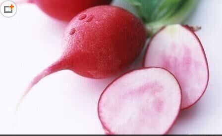 2025年(nián)生(shēng)鮮配送行(xíng)業(yè)最新動态：平價化(huà)、智能(néng)化(huà)與全球化(huà)趨勢凸顯